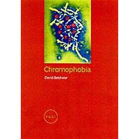 David Batchelor: Chromophobia