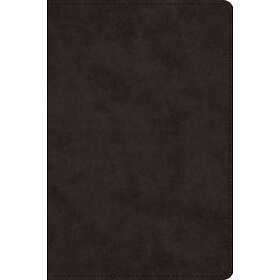 : ESV Large Print Bible