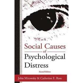 Catherine E Ross: Social Causes of Psychological Distress