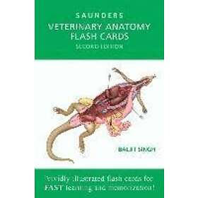 Baljit Singh: Veterinary Anatomy Flash Cards