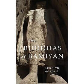 Llewelyn Morgan: Buddhas Of Bamiyan