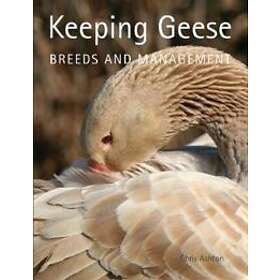Chris Ashton: Keeping Geese