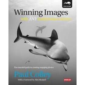Paul Colley: Winning Images with Any Underwater Camera
