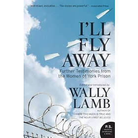 Wally Lamb: I'll Fly Away