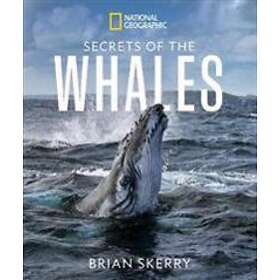 Brian Skerry: Secrets of the Whales
