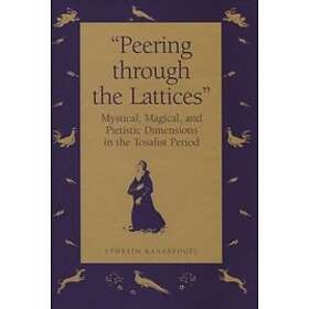 Ephraim Kanarfogel: Peering Through the Lattices