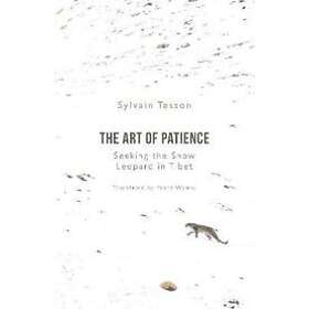 Sylvain Tesson: The Art of Patience