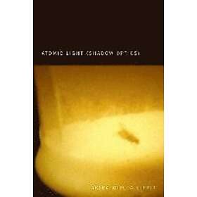 Akira Mizuta Lippit: Atomic Light (Shadow Optics)