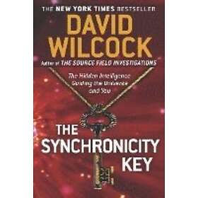 David Wilcock: Synchronicity Key