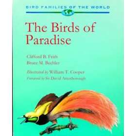 Clifford B Frith: Birds of Paradise