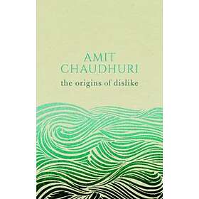 Amit Chaudhuri: The Origins of Dislike