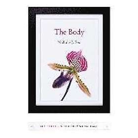 NJ Fox: The Body