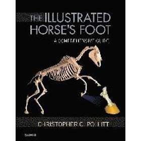 Christopher C Pollitt: The Illustrated Horse's Foot