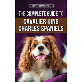 Jordan Honeycutt: The Complete Guide to Cavalier King Charles Spaniels