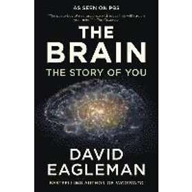David Eagleman: Brain