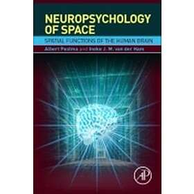 Albert Postma: Neuropsychology of Space