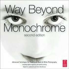 Ralph Lambrecht, Chris Woodhouse: Way Beyond Monochrome