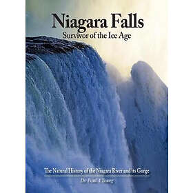 Paul a Young: Niagara Falls: Survivor of the Ice Age: The Natural History River and its Gorge