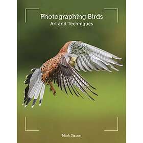 Mark Sisson: Photographing Birds
