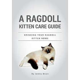 Jenny Dean: A Ragdoll Kitten Care Guide: Bringing Your Home