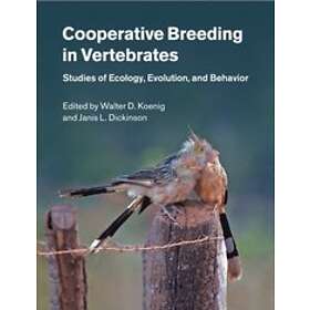 Walter D Koenig: Cooperative Breeding in Vertebrates