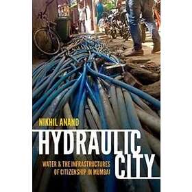 Nikhil Anand: Hydraulic City