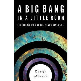 Zeeya Merali: A Big Bang in a Little Room