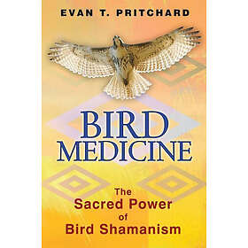 Evan T Pritchard: Bird Medicine