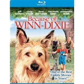 Because of Winn Dixie (US) Blu-ray