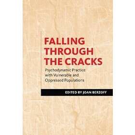 Joan Berzoff: Falling Through the Cracks