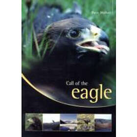Dave Walker: Call of the Eagle