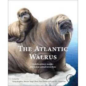 Xnia Keighley: The Atlantic Walrus