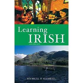 Michael O'Siadhail: Learning Irish