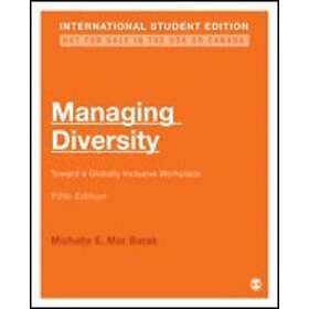 Michalle E Mor Barak: Managing Diversity International Student Edition