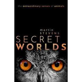 Martin Stevens: Secret Worlds