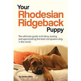 Denise Flaim: Your Rhodesian Ridgeback Puppy