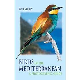 Paul Sterry: Birds of the Mediterranean