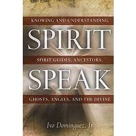 Ivo Dominquez: Spirit Speak