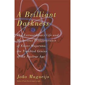 Joao Magueijo: A Brilliant Darkness