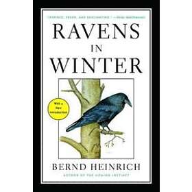 Bernd Heinrich: Ravens in Winter
