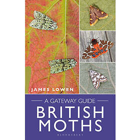 James Lowen: British Moths