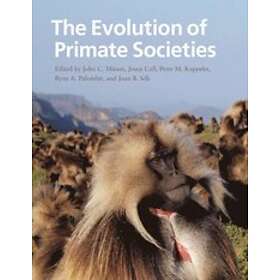 John C Mitani: The Evolution of Primate Societies