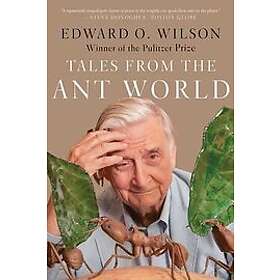 Edward O Wilson: Tales From The Ant World