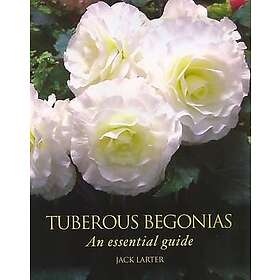 Jack Larter: Tuberous Begonias