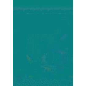 Lynn McCann: How to Support Pupils with Autism Spectrum Condition in Primary Sch