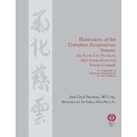 Ann Cecil-Sterman: Illustrations of the Complete Acupuncture System