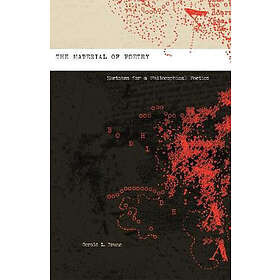 Gerald L Bruns: The Material of Poetry