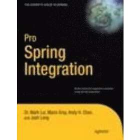 Josh Long, Dr Mark Lui, Mario Gray, Andy Chan: Pro Spring Integration