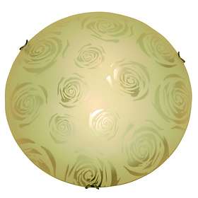Cottex Rosanna
