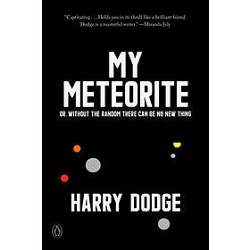 Harry Dodge: My Meteorite